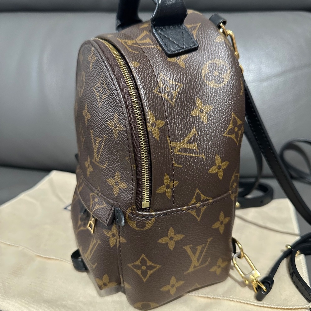 Louis Vuitton Palm Springs  mini - Picture 4 of 16